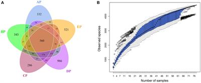 Effect of 15 days −6° head-down bed rest on microbial communities of supragingival plaque in young men